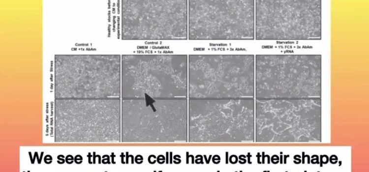 January 14, 2022 – The Final Refutal Of Virology – Dr. Stefan Lanka