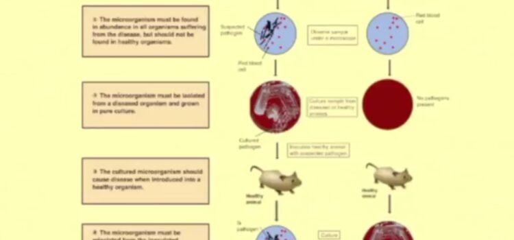 July 9, 2022 – Germ “Theory” and DIS ease.